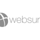 Websure